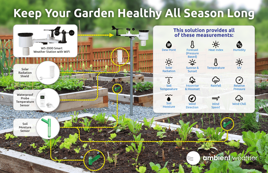 https://ambientweather.com/media/wysiwyg/smartwave/porto/ambient/images/aw-gardening-infographic.png